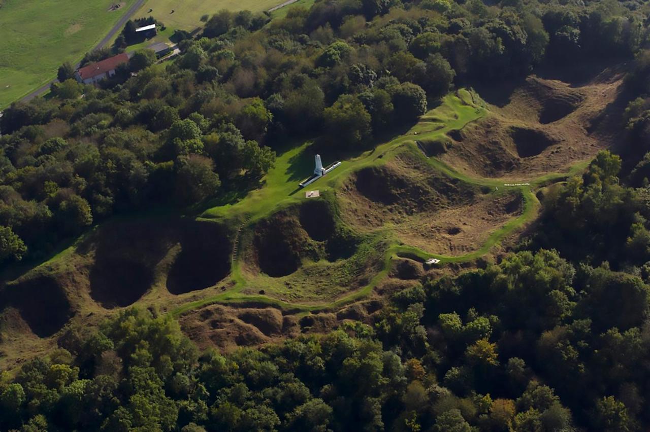 Montfaucon-d'Argonne Arara Bed & Breakfast エクステリア 写真